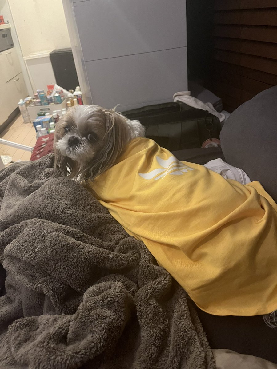 リリー（Lilly) tweet media