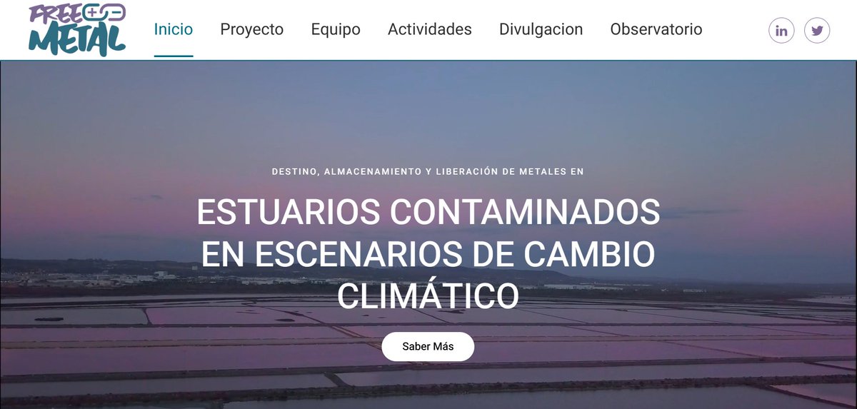 basallote_lola's tweet photo. Post 1/2 ¡Arranca #FreeMetal! en @ICMAN_CSIC tras resolución definitiva de convocatoria de Consolidación Investigadora 2025 ✨
Usaremos indicadores biogeoquímicos y simulaciones de cambio global para predecir riesgos y proteger la salud costera y estuarina📊🌊 https://t.co/8vixZtaFkx