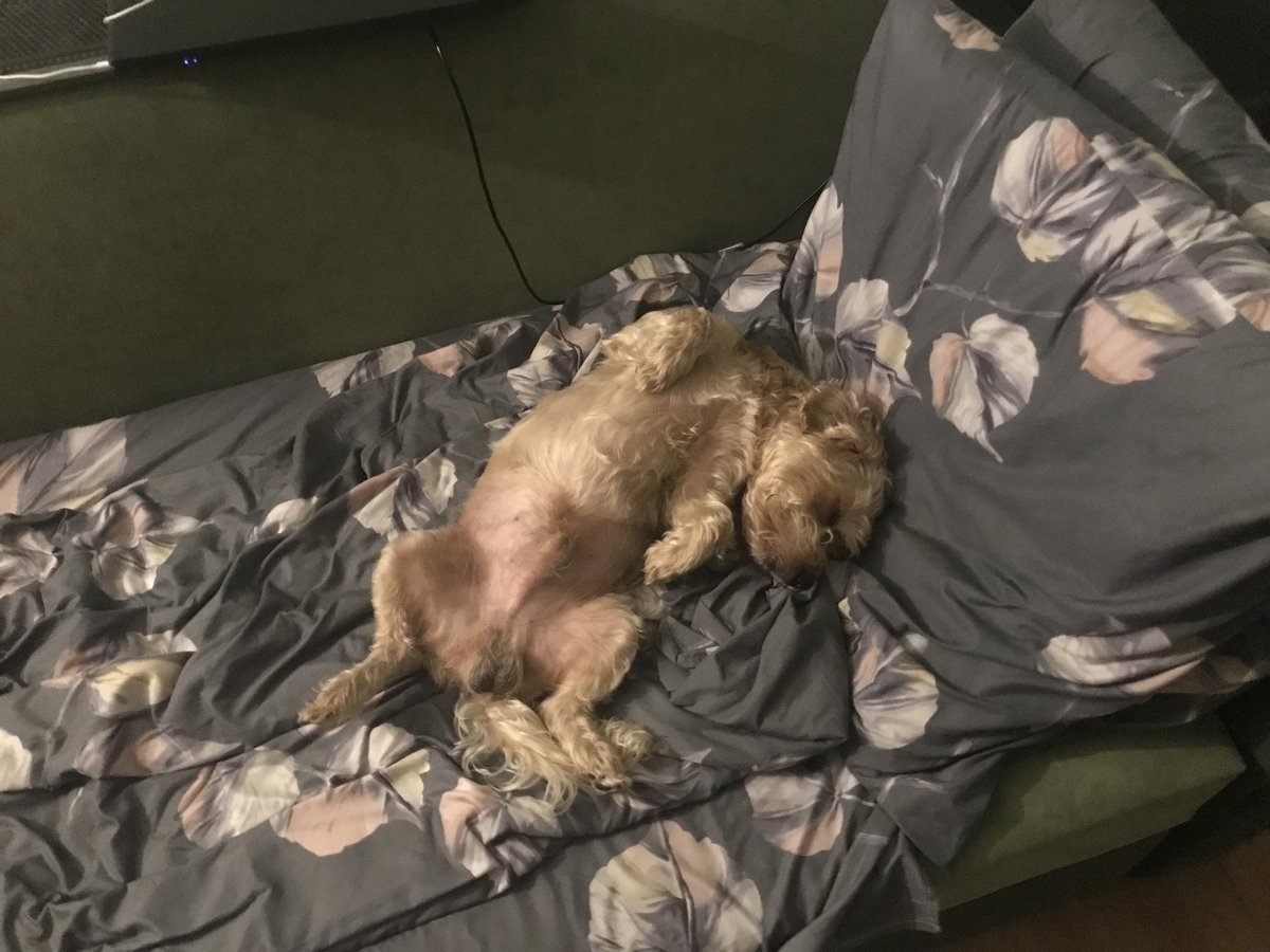 Дмитрий Филиппов tweet media