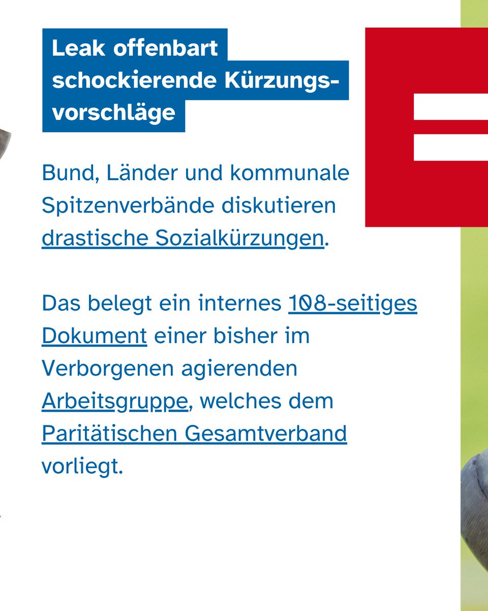 Der Paritätische tweet media
