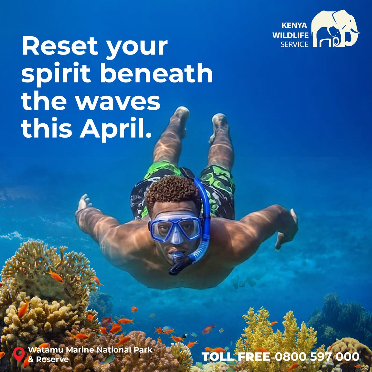 Kenya Wildlife Service tweet media