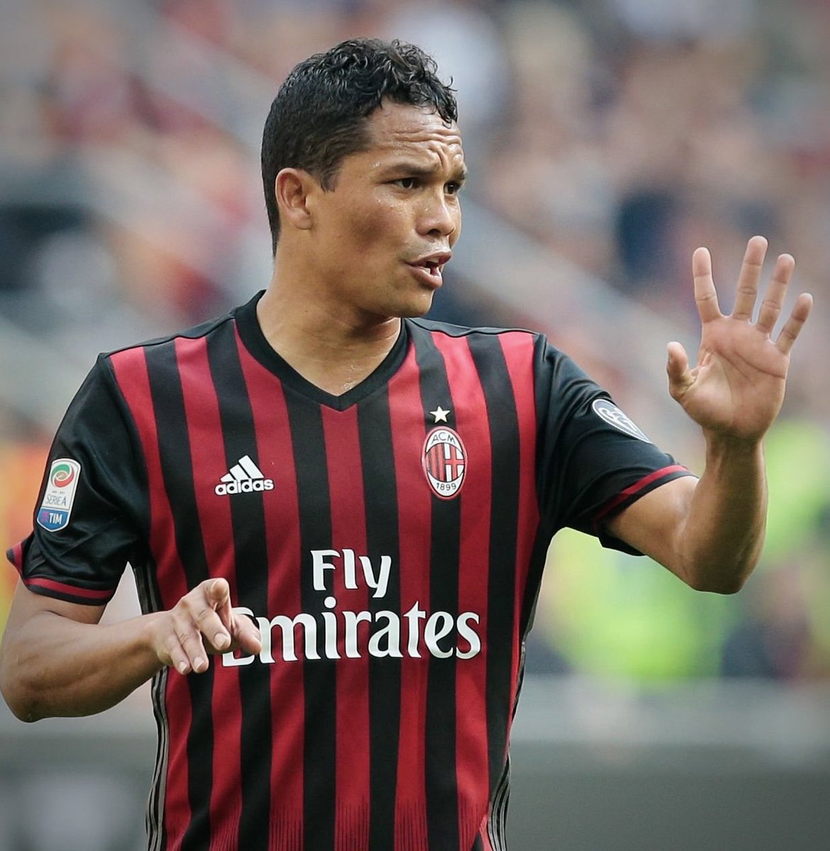 José A. Alaimo Storaci tweet media