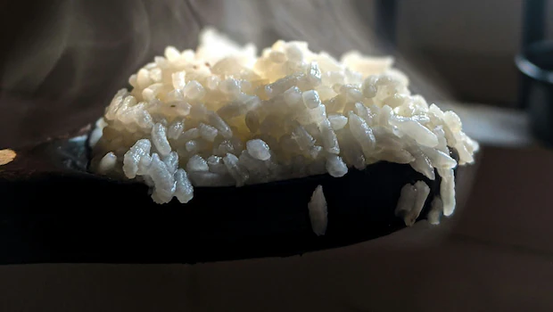 NDTVFood's tweet image. How 9,000-Year-Old Rice From China Became A Staple Food In India And The World
food.ndtv.com/food-drinks/ho…
#rice #china #staple
