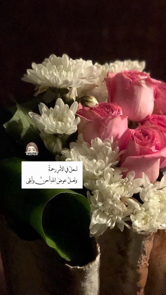 ⊰صديقة الشاي⊱ tweet media