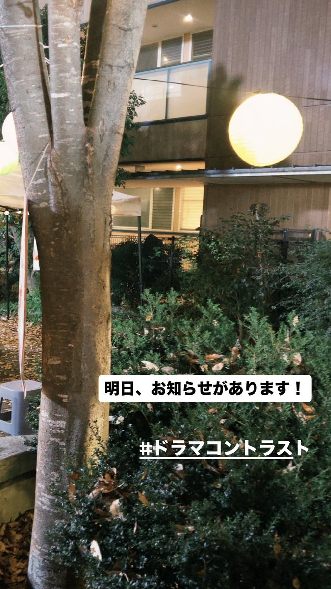 🩵 : พรุ่งนี้อาจจะมีประกาศก็ได้นะ…!🤭✨
🧡 : พรุ่งนี้มีประกาศนะ!

เธอสองคนไปคุยกันมั้ย5555555
#ドラマコントラスト 
#井内悠陽 #阿久根温世