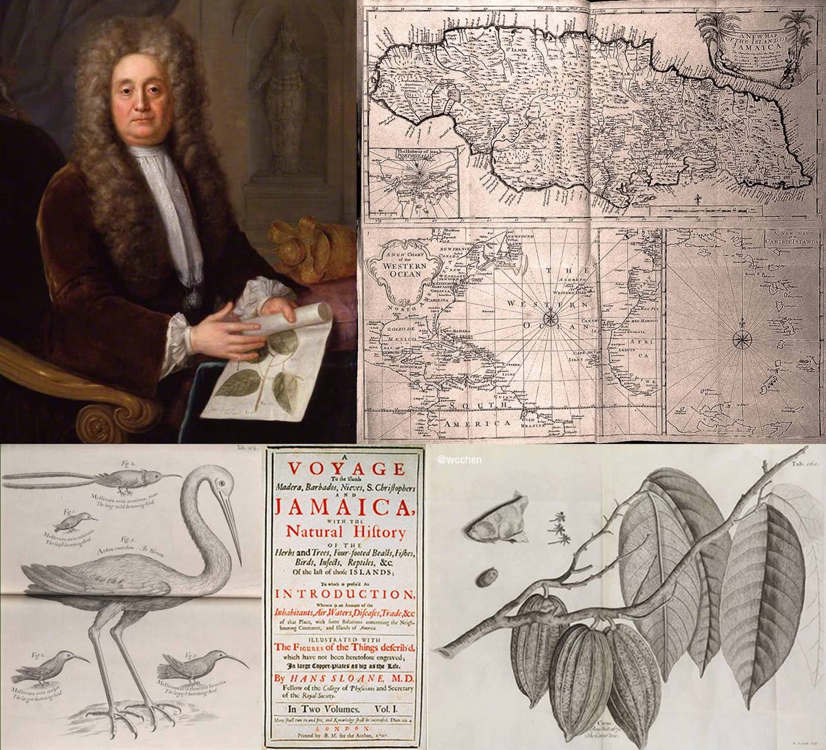 wcchen's tweet image. Hans Sloane (16 Apr 1660 – 11 Jan 1753) Irish physician, naturalist, and collector, born 366 years ago today. Bequeathed 71,000 items to the British nation, thus providing the foundation of British Museum, British Library, and Natural History Museum. Came to #Jamaica 1687; wrote
