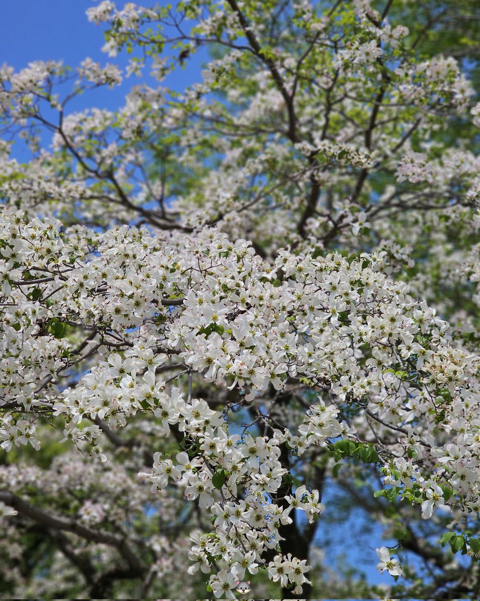 表裏一体 tweet media