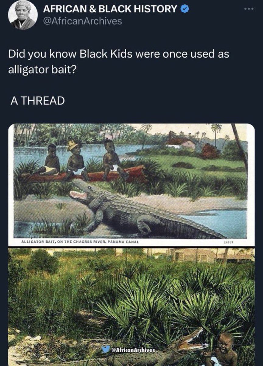 iamyesyouareno tweet media