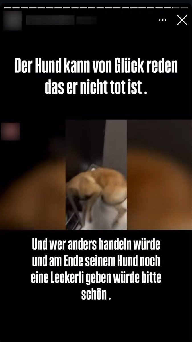 Lukas B. tweet media