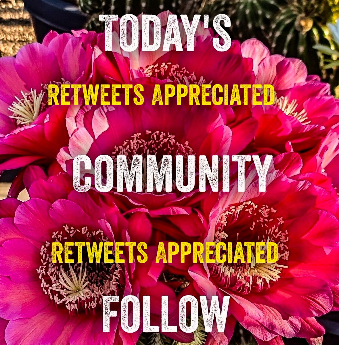 Good morning friends! Today's Community Follow 2 Fer for this fine Thursday is ready for your consideration.
<a href="/Logically_Left/">The Logically Left Pissed Off Bear - 🏳️‍🌈 ✊🏿</a> and
<a href="/eire2ca/">Houthi and the Blowfish 🐠</a> are today's featured accounts. Check them out!