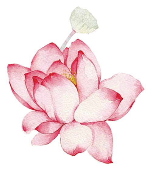 Miss Equipped tweet media