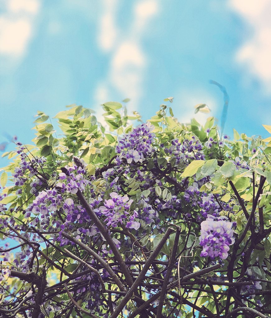 表裏一体 tweet media