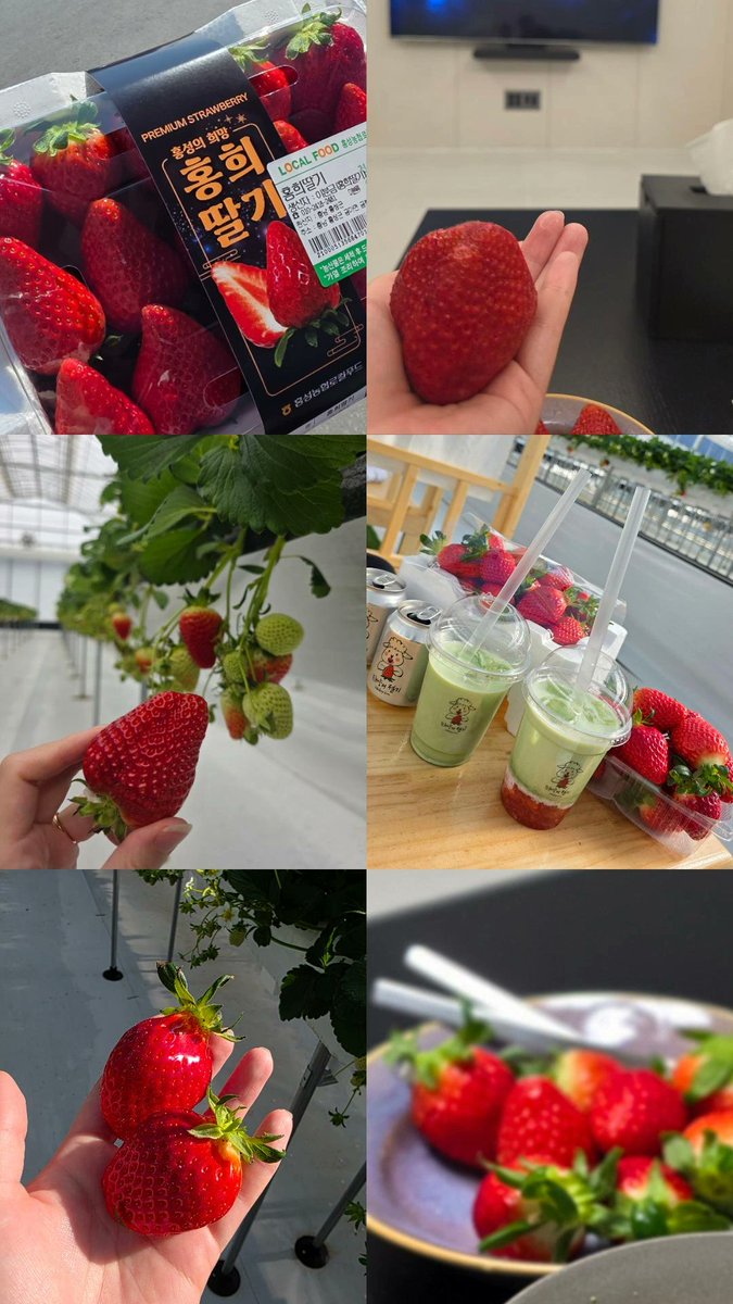 ぽ。 tweet media