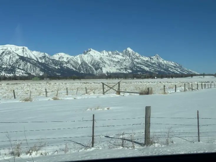 American College of Surgeons tweet media