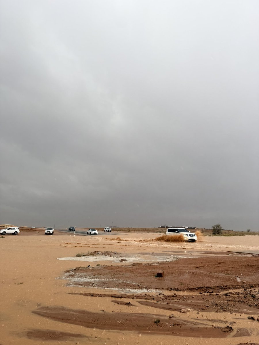 الطربه tweet media