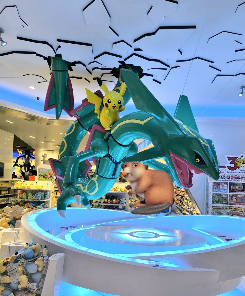 あお🦫ポケカ tweet media