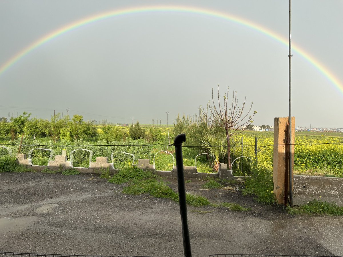 Baran Rojava tweet media