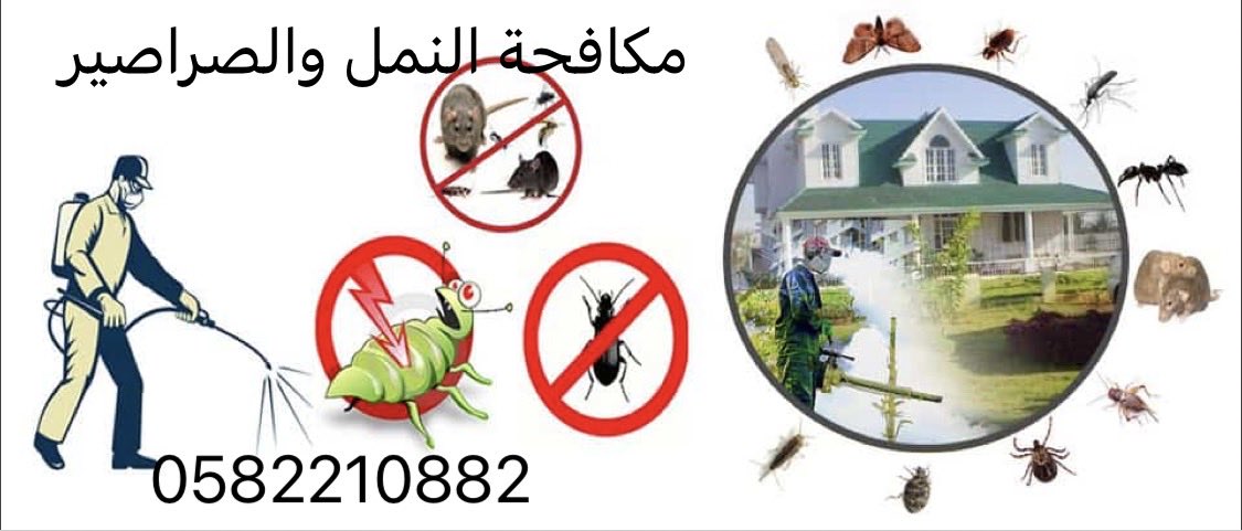 ya___z50's tweet photo. شركة مكافحة حشرات 🦟 🐛 🐜 
مكافحة النمل والصراصير والوزغ وبق الفراش 
متخصصون جميع خدمات مكافحة الحشرات بالضمان 
مكافحة حشرات بالدمام
بالخبر
بالقطيف
بالجبيل
بالاحساء
بسيهات
بصفوي
برأس تنورة 
إبادة تامة للحشرات بافضل المبيدات الألمانية المتخصصة في القضاء علي الحشرات المنزلية https://t.co/uSZ4LSpbuG