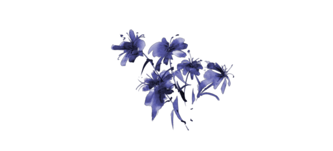 pantalone tweet media