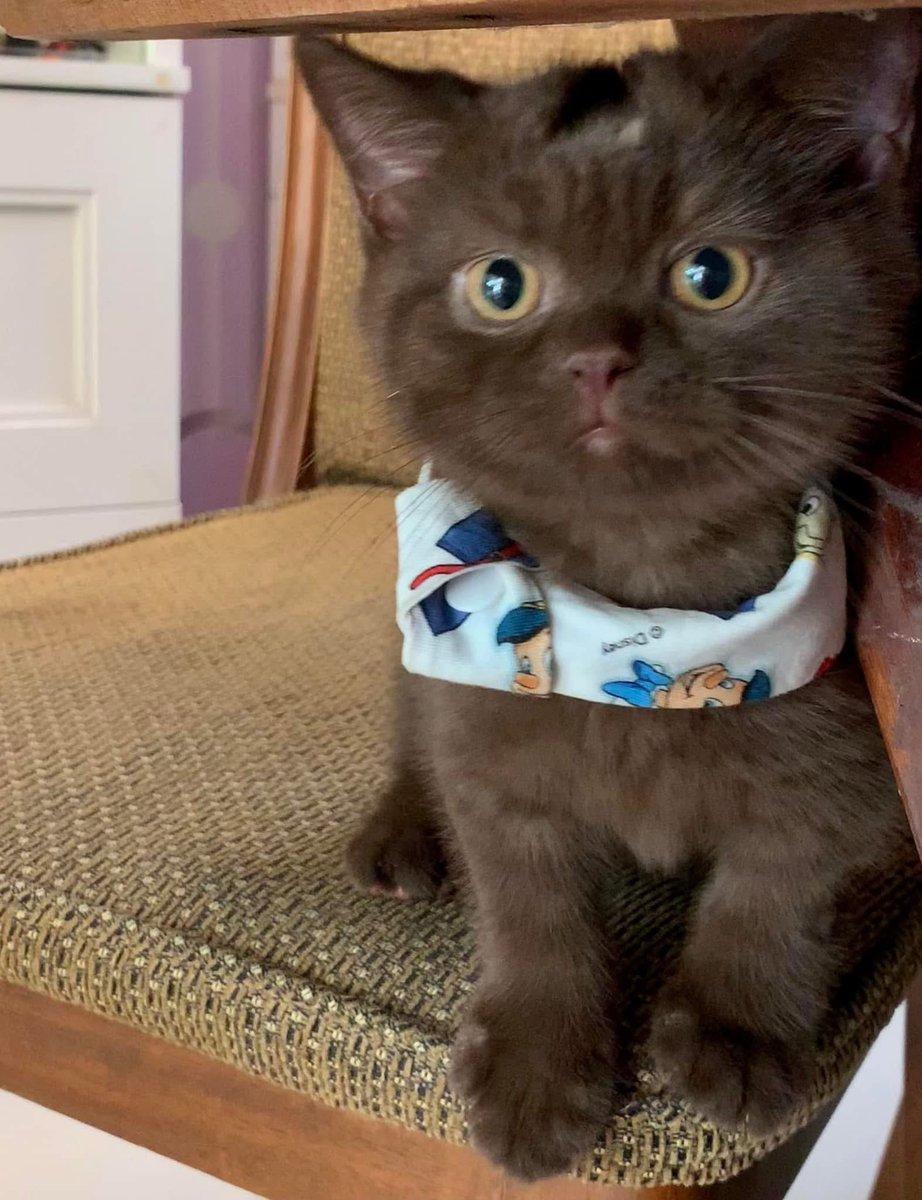 jejemama🎧🩰 tweet media