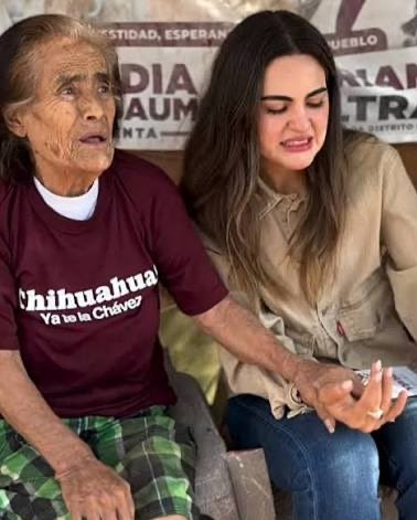 Alex Baqueiro tweet media