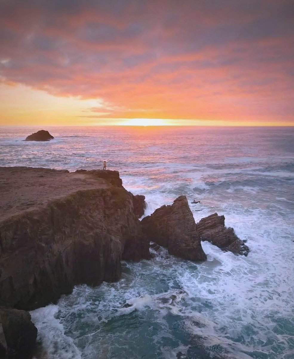 Alene Lancaster tweet media