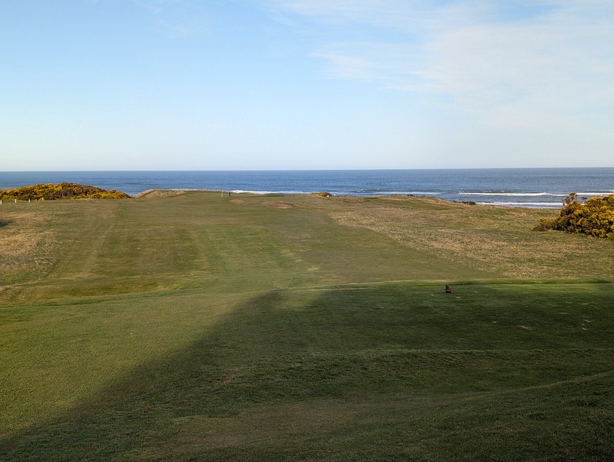 E. Harvie Ward tweet media