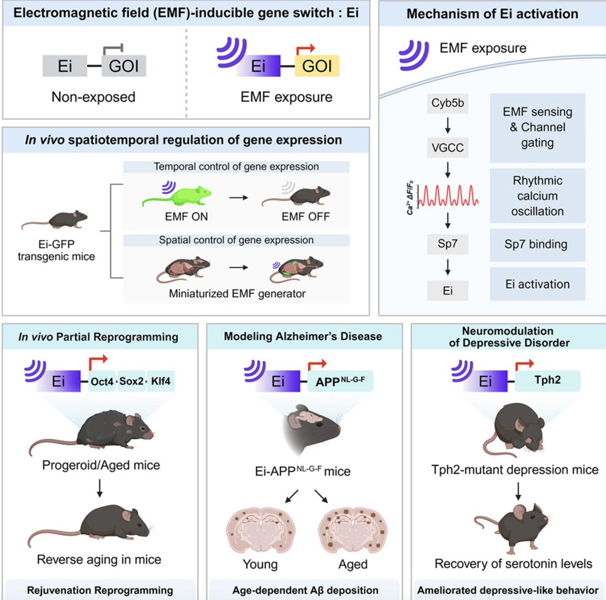 Jack Mislinski tweet media