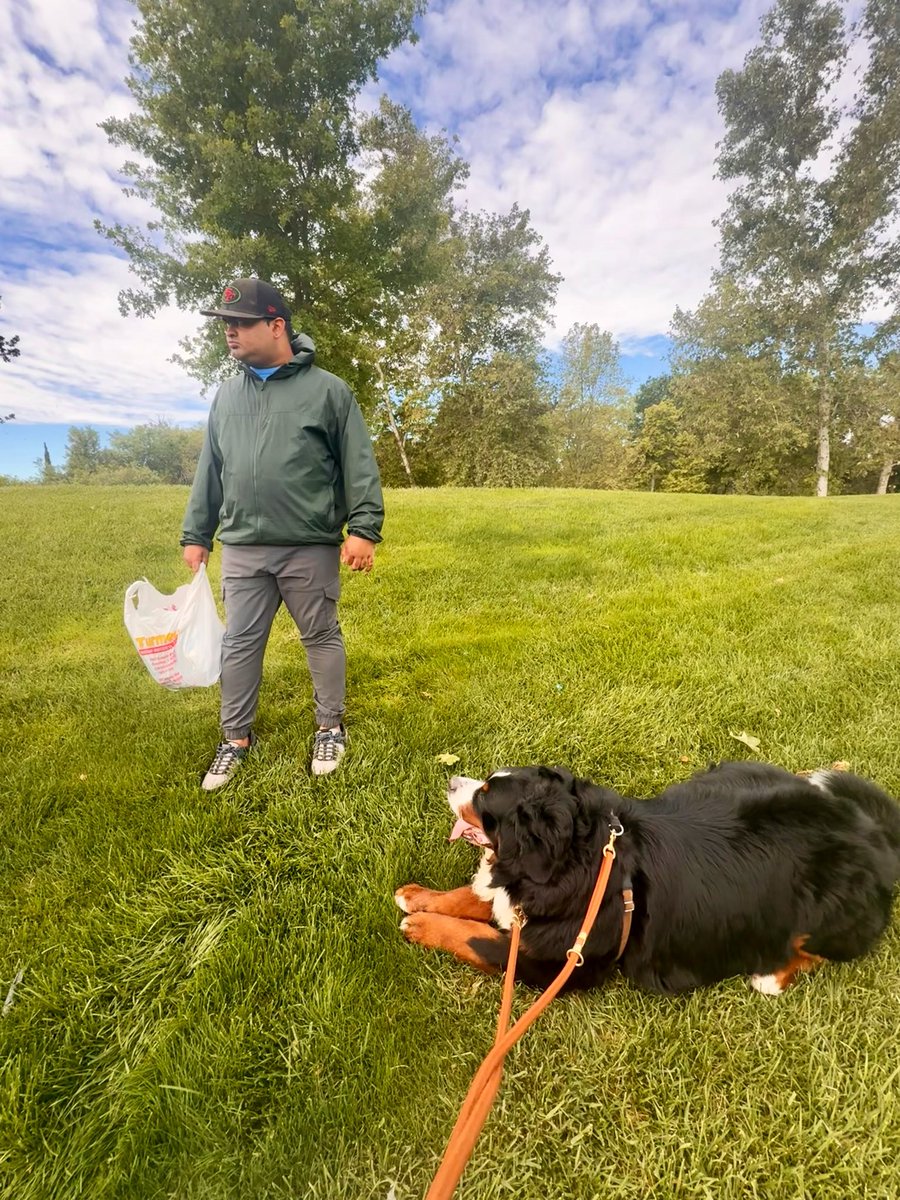 RussianBerner's tweet image. Just a boy and his best friend, then and now  🥰🥺 #Autism #bernesemountaindog #throwbackthursday