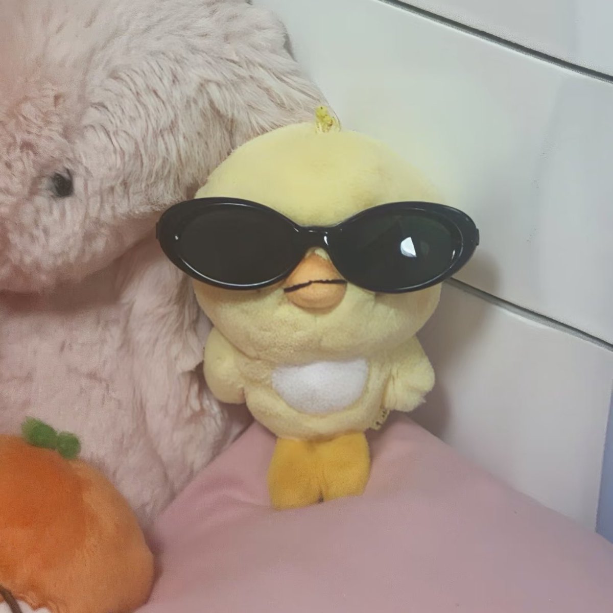 tulip🥕 tweet media