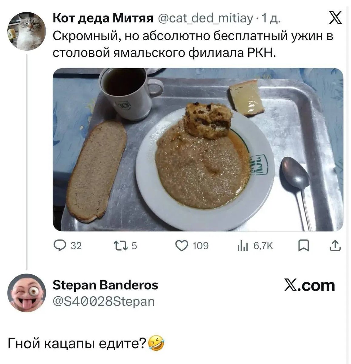 Платoн Peдbkин tweet media