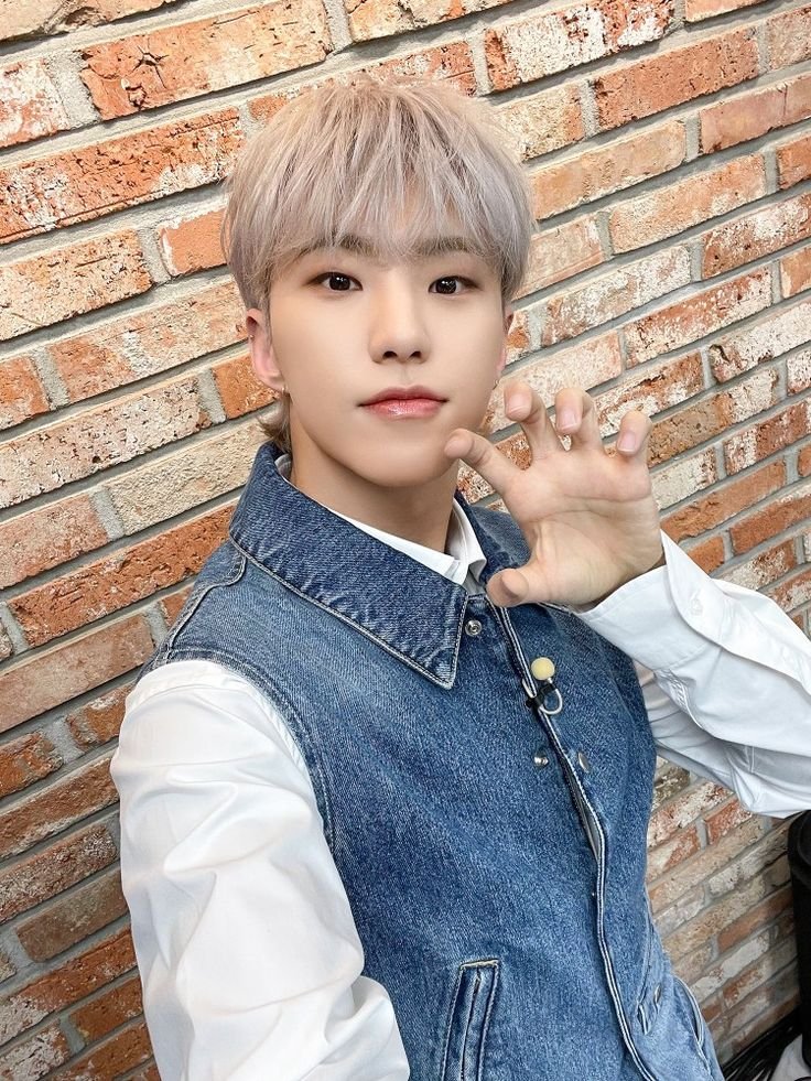 hourly hoshi tweet media