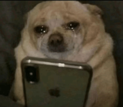 🇲🇽 Mys ･⁠ ミイス 🌻 tweet media