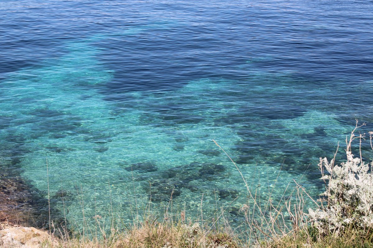 Photoni_Link's tweet photo. J'ai oublié de le faire hier, thread ballade sur l'île Saint-Honorat https://t.co/CBdSbpmBiD
