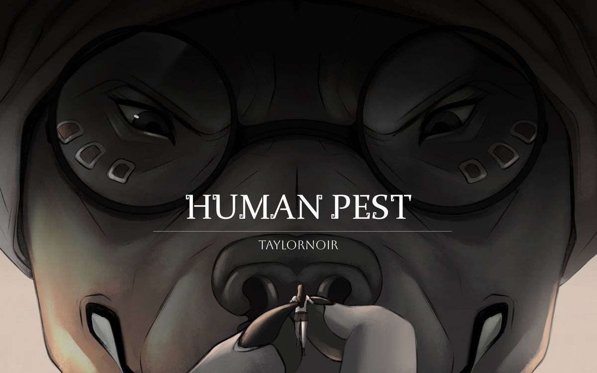 TaylorNoir tweet media