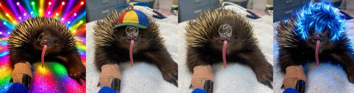 NicheDeployer tweet media