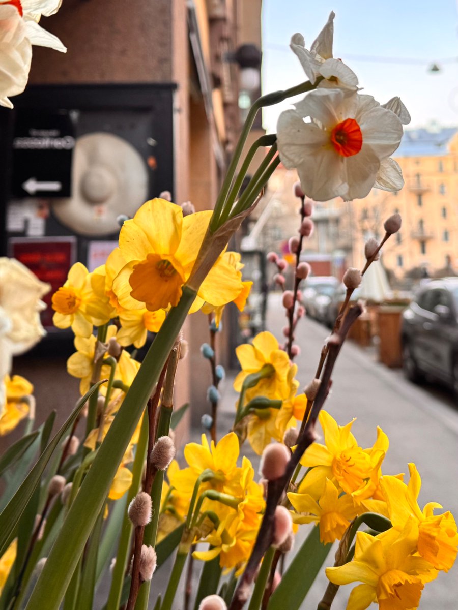 BSapag's tweet image. Everything glowed with a gleam;
Yet we were looking away!

~Thomas Hardy

#Helsinki #Finland