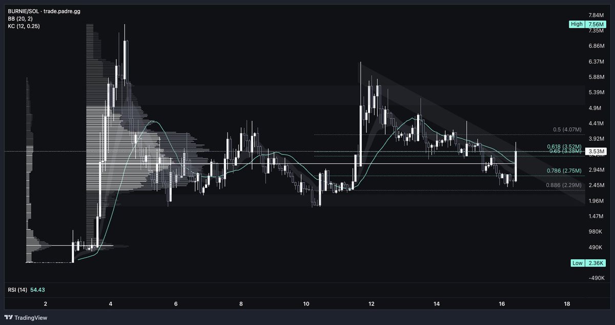 Broke American tweet media