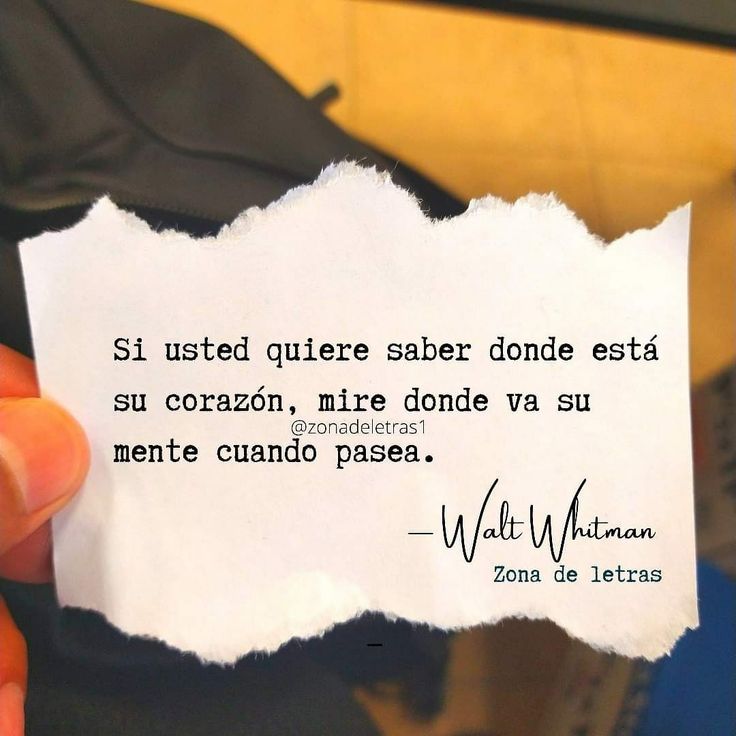 Faburalia tweet media