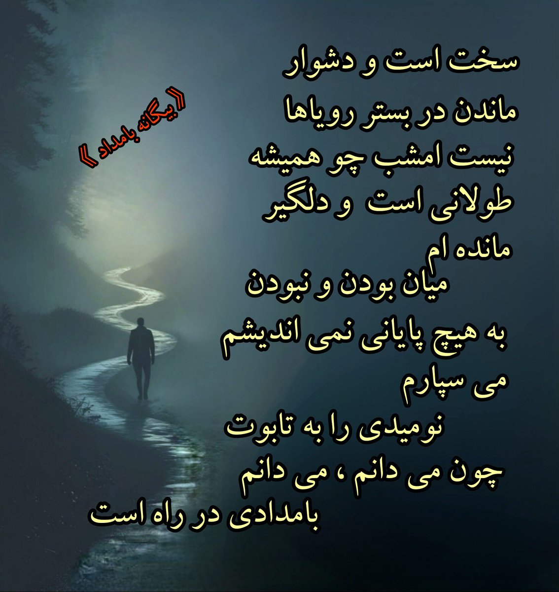 Ali Rostaminejad tweet media