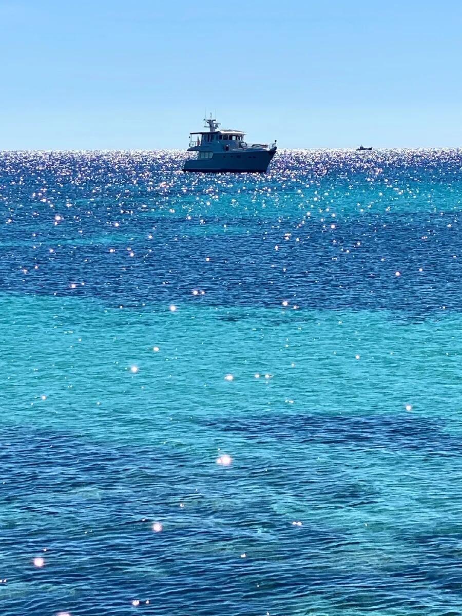 Katy Mbaye tweet media