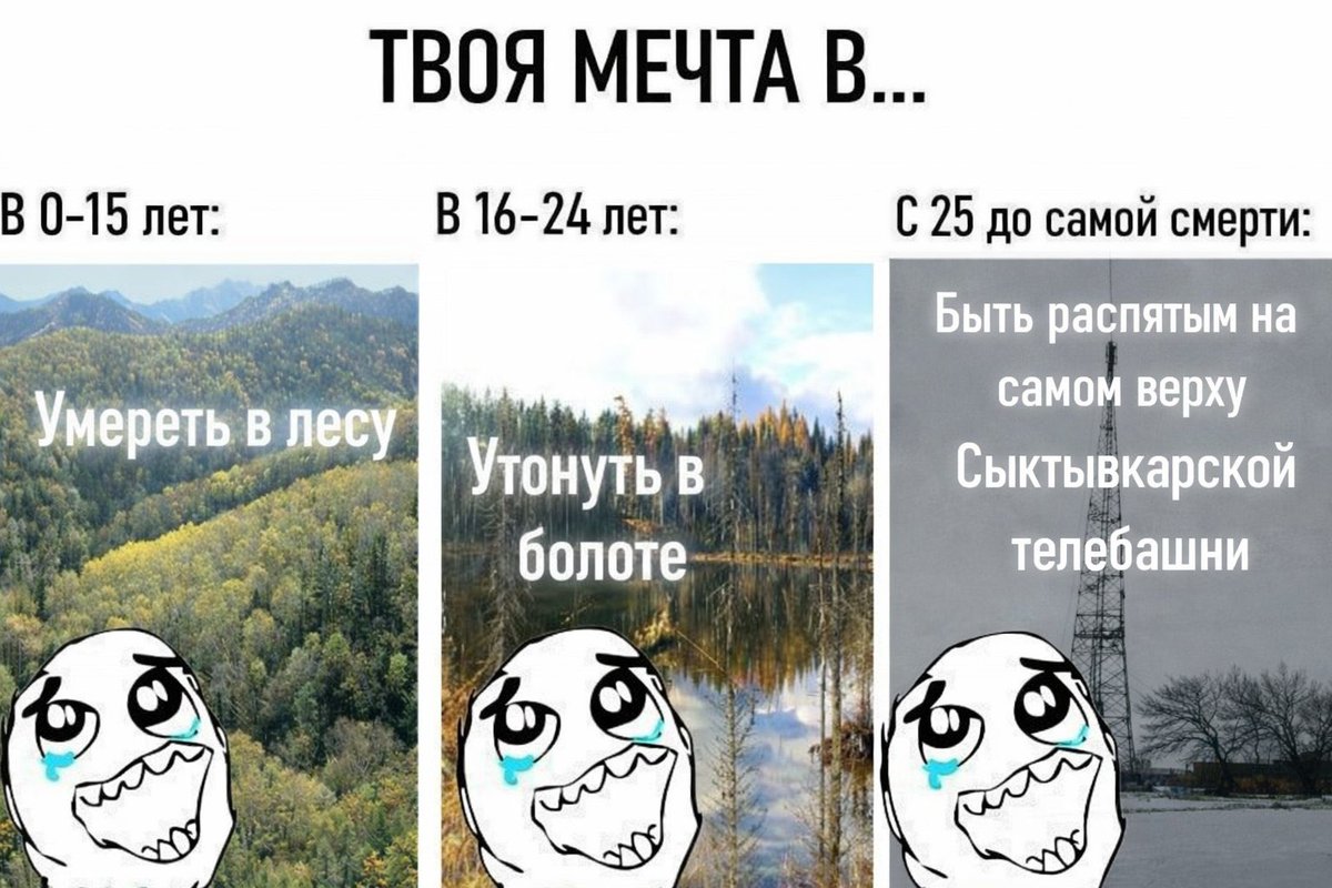 Шиза&База (@shkotobaza) on Twitter photo 