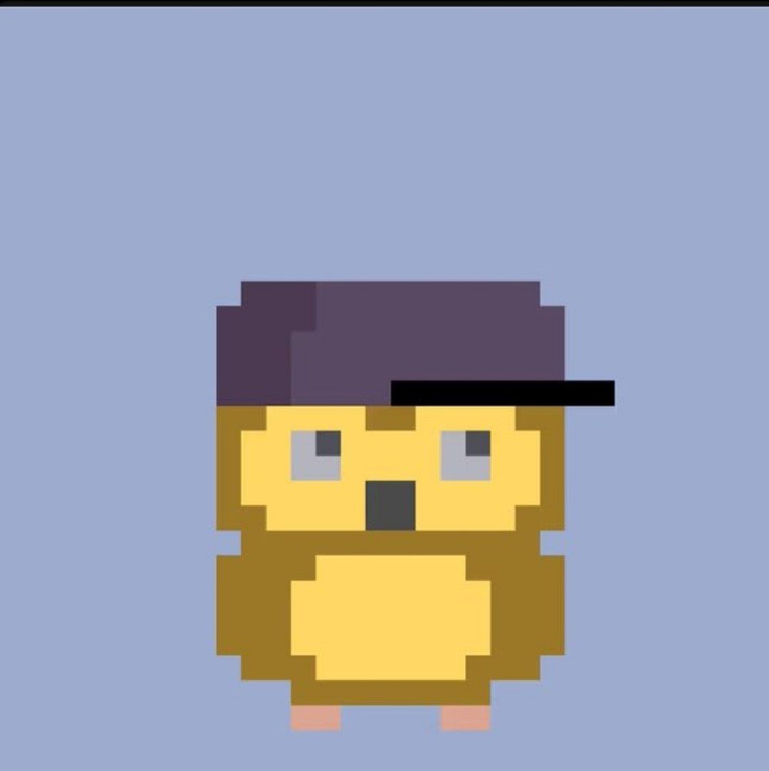 ma'moun bdran.sui tweet media