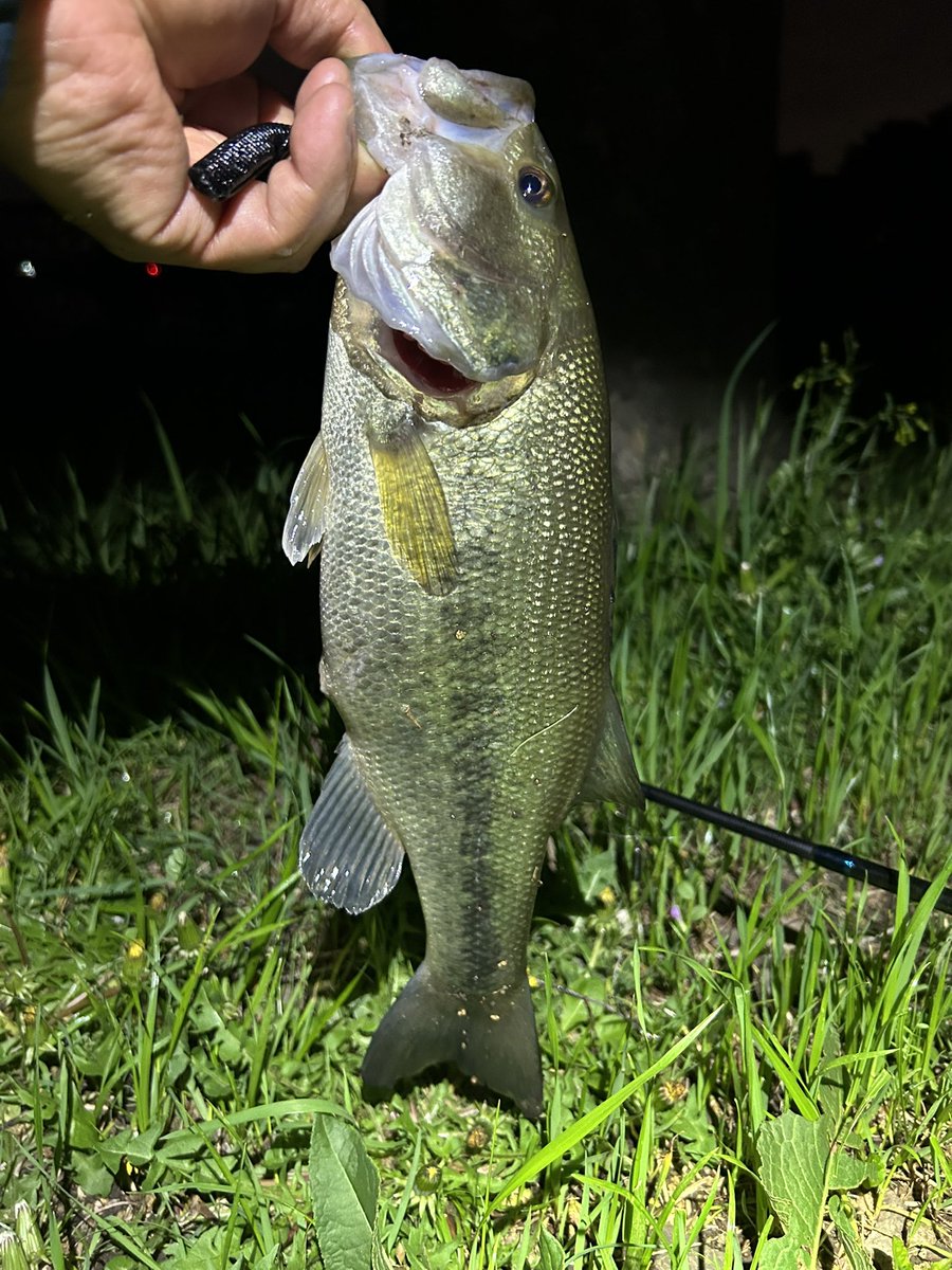 hajime37 tweet media