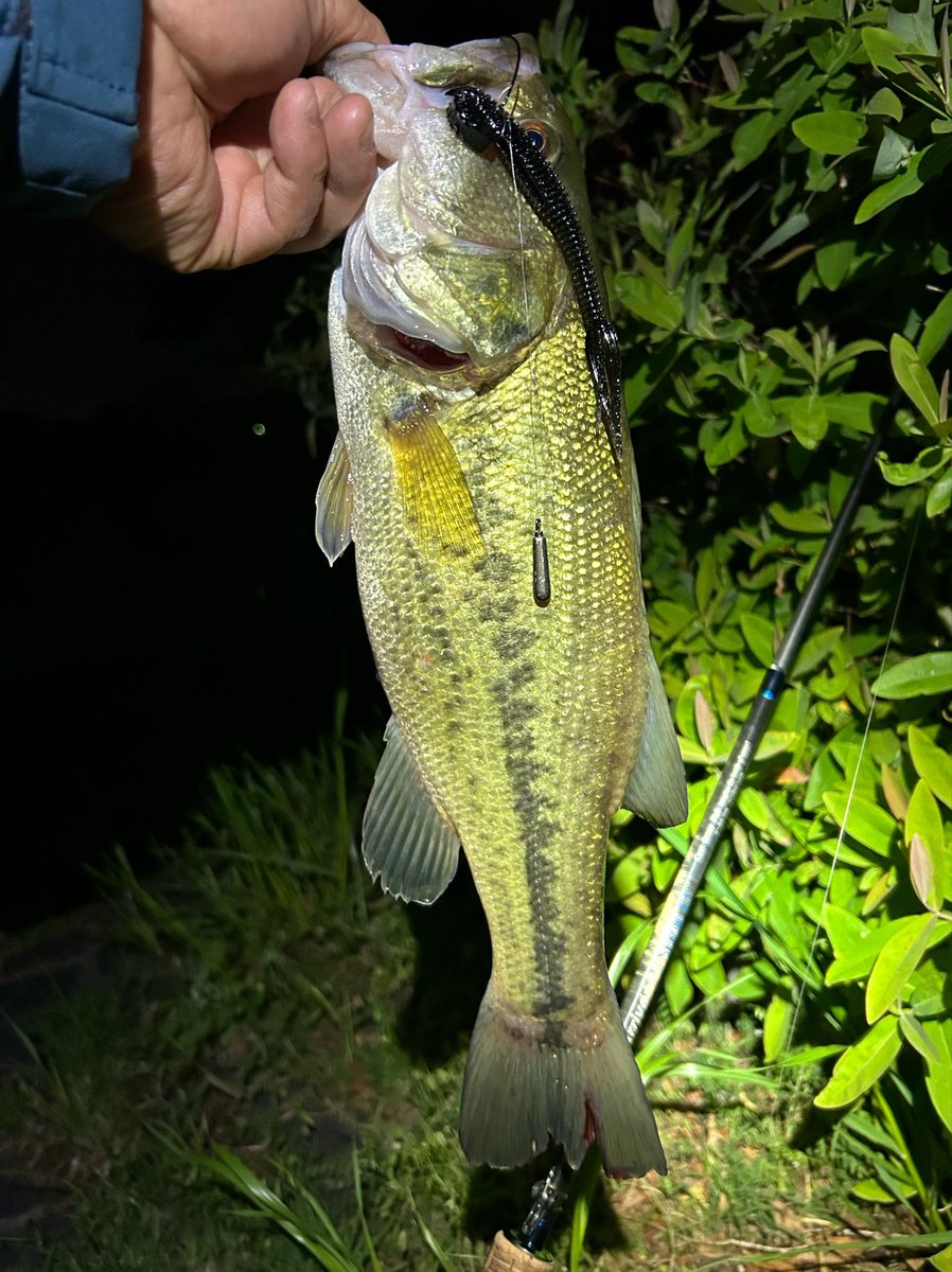 hajime37 tweet media