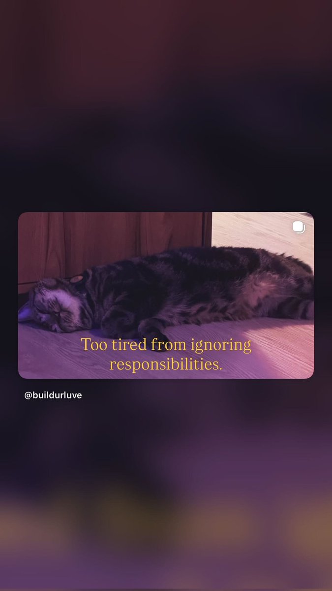 𝐁𝐮𝐢𝐥𝐝 𝐒𝐮𝐩𝐩𝐨𝐫𝐭 𝐈𝐍𝐃𝐈𝐀 🇮🇳 tweet media