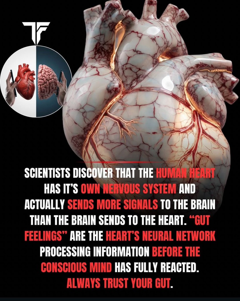 VeiledDuality tweet media