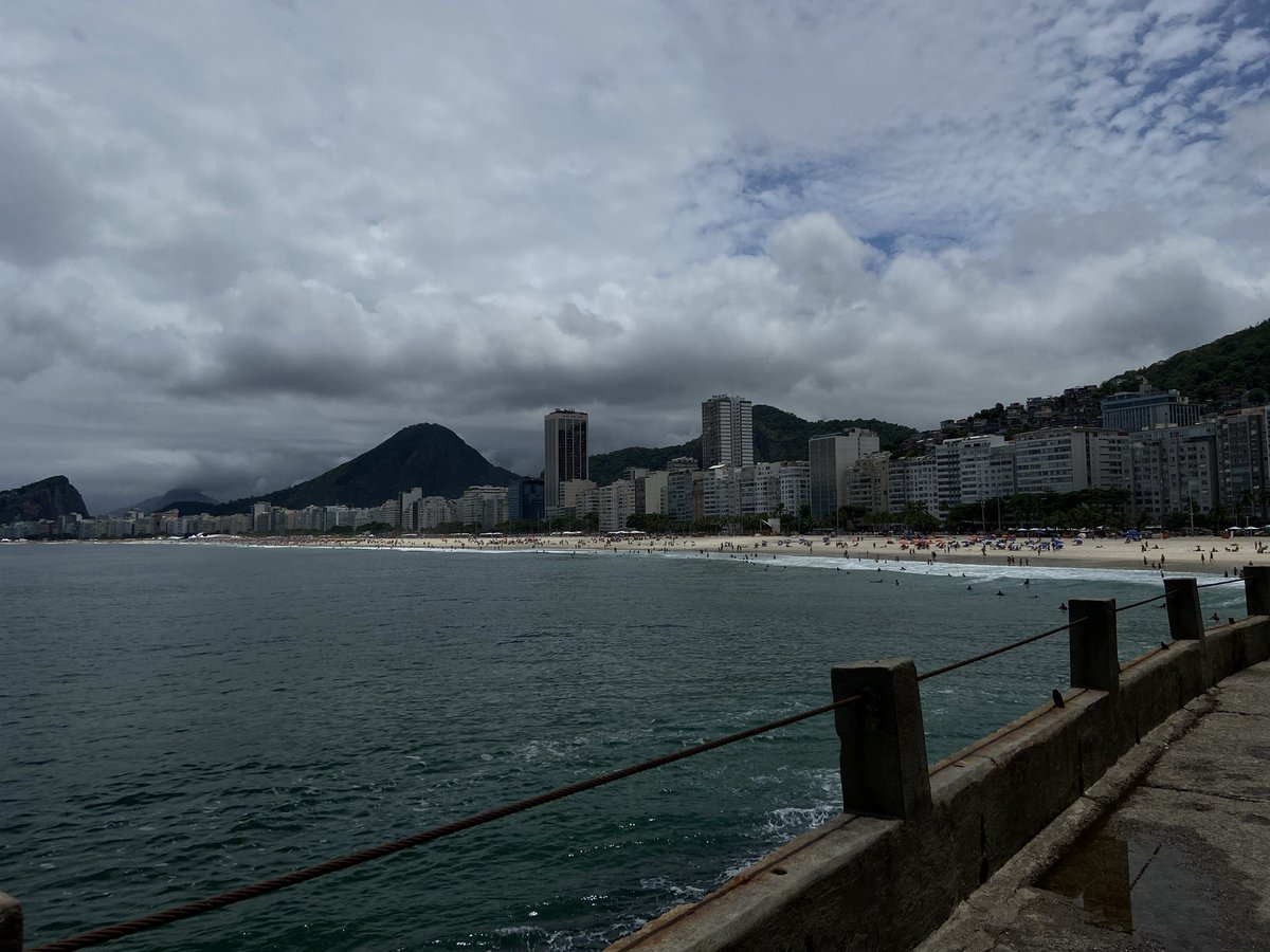 donarcana tweet media