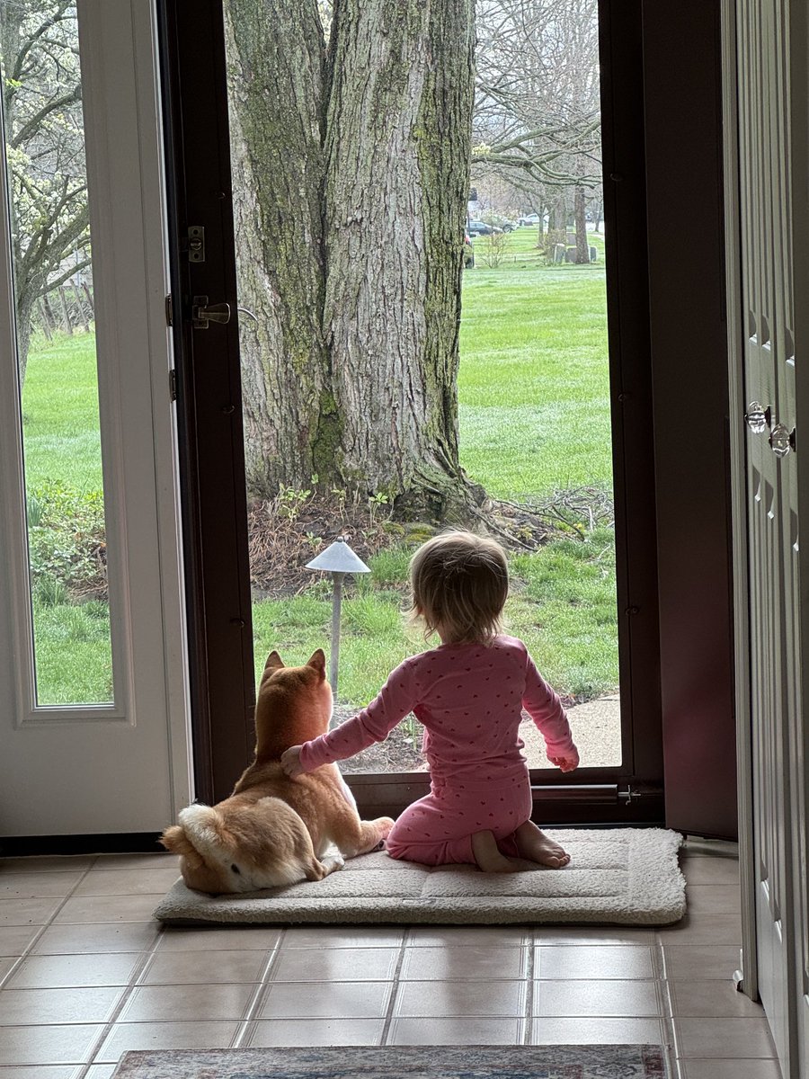 themax1957's tweet photo. How cute is this https://t.co/jxM3sZJzyA