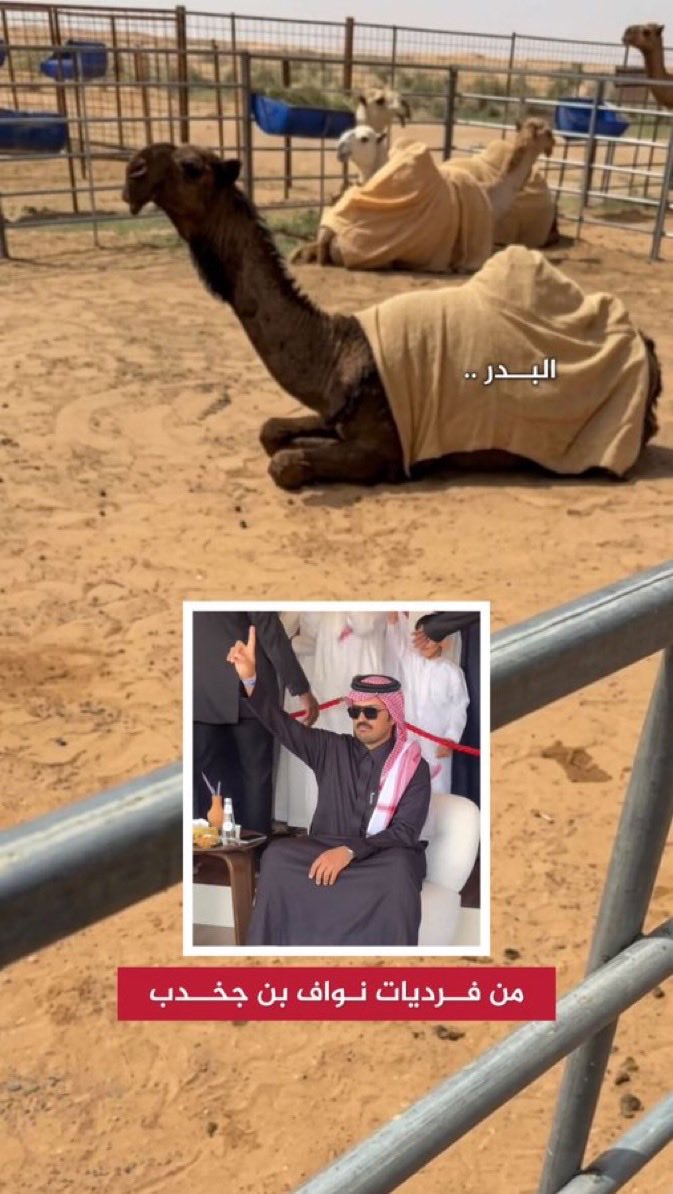 0baid9's tweet photo. اليوم صدر تصوير للأسطورة نواف بن جخدب طلع فيه حيران قوية (شعل) وجنبه عشرين حقة فردية شعل
صدق من سماها #امارة_الشعل https://t.co/VSpuBzUayo